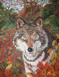 Autumn Wolf